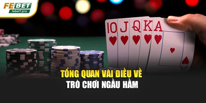 Tổng quan vài điều về trò chơi ngầu hầm